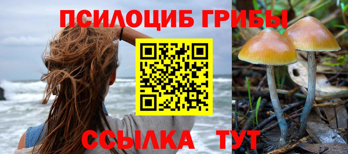 Галлюциногенные грибы Psilocybine cubensis  Вход с VPN  Новотроицк 