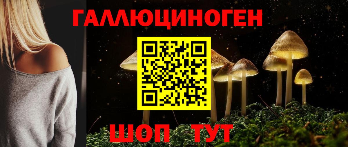 Псилоцибиновые грибы Magic Shrooms Новотроицк